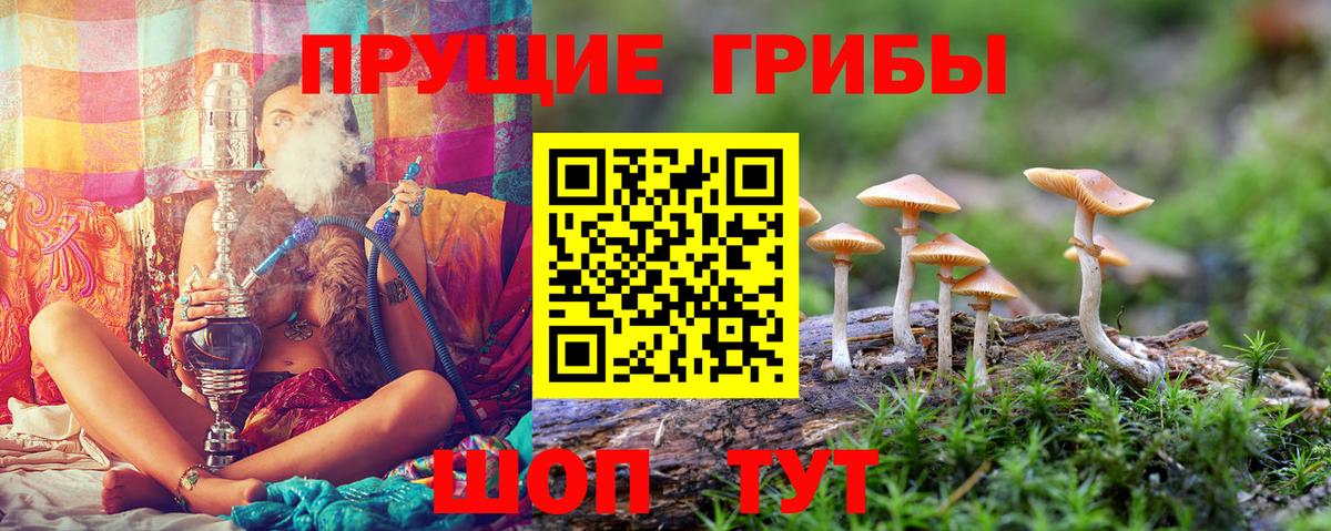 Псилоцибиновые грибы Psilocybe  где купить наркоту  Бирск  Псилоцибиновые грибы мухоморы  Вход с VPN 